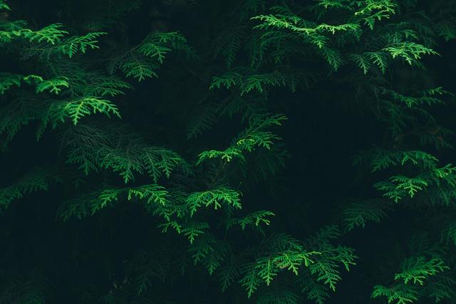 How the 7.5ft Best Choice Products Pre-Lit Cedar Cypress Tree Performs at Home