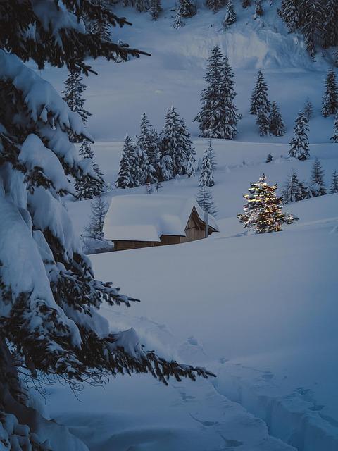 Who should Choose the 4.5ft Best Choice Products Unlit Realistic Spruce Tree?