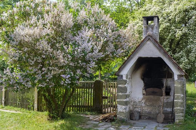 gas ovens: what the upfront price buys