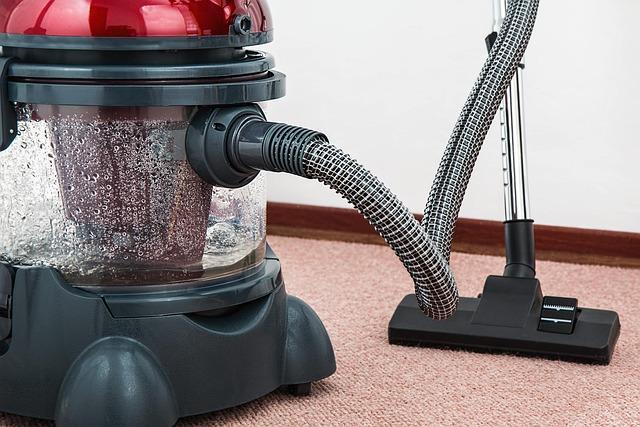 What Is the Best Carpet Cleaner to Purchase for the Price?