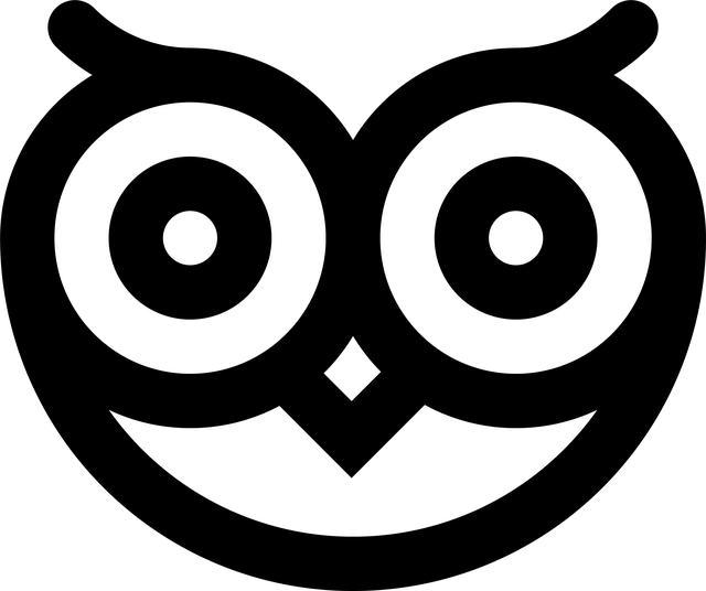 Garmin RV 785 & Traffic vs. the two 4K dash cams: Which fits your driving and recording needs?