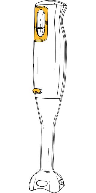 Vitamix immersion Blender in Use: Blending Versus Whisking