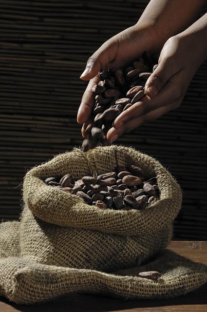 Who Should Choose 50 Organic Madagascar Vanilla Beans for Coffee Brewing?