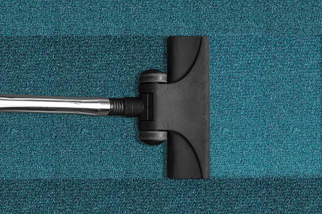 Cordless Stick Vacuums: How They Perform in Everyday Use