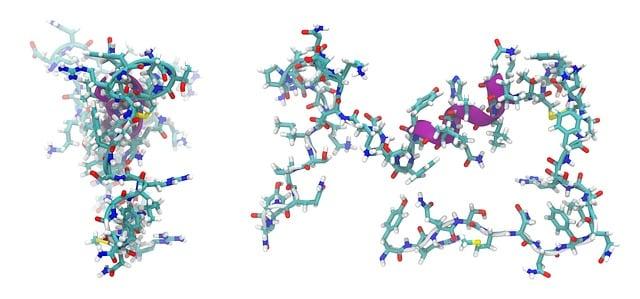 Which Sports Research Collagen Peptides Specs Matter Most for the Price?