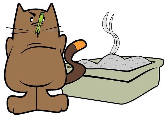 Best odor control cat litter: Boxie Probiotic price check