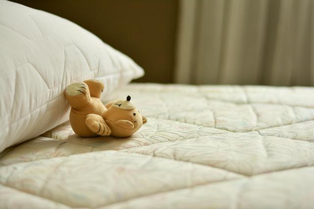 Best Mattress Protector for Bed Bugs: Where the Cost Goes